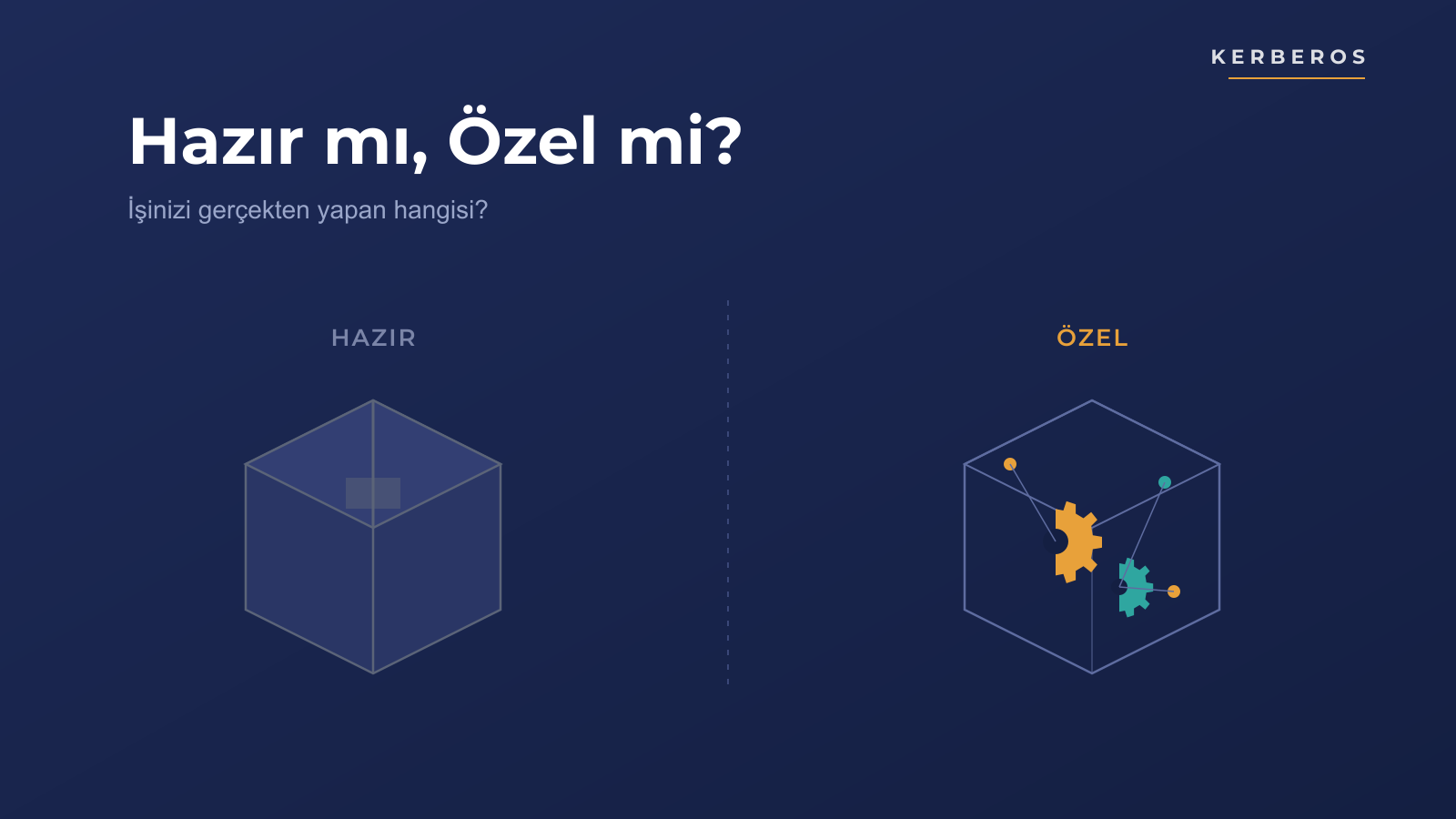 Hazır Web Sitesi mi, Size Özel Yazılım mı? Doğru Kararı Nasıl Verirsiniz?